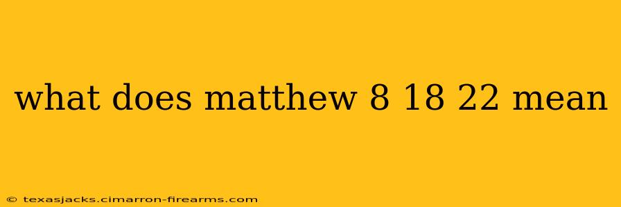 what does matthew 8 18 22 mean