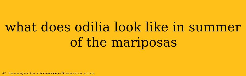 what does odilia look like in summer of the mariposas