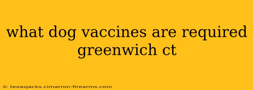 what dog vaccines are required greenwich ct