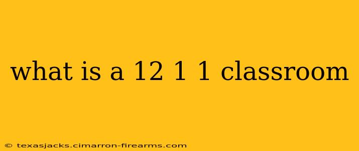 what is a 12 1 1 classroom