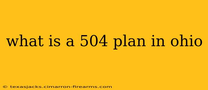 what is a 504 plan in ohio