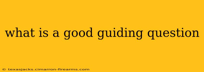 what is a good guiding question