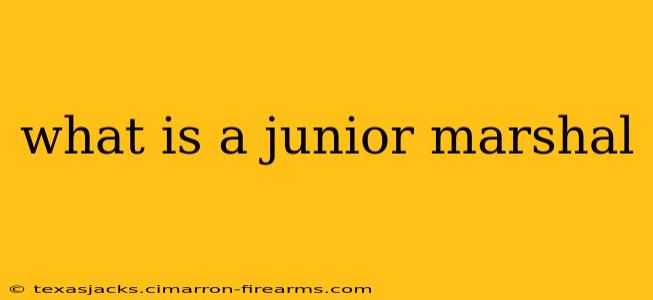 what is a junior marshal