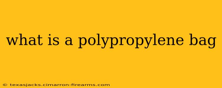 what is a polypropylene bag