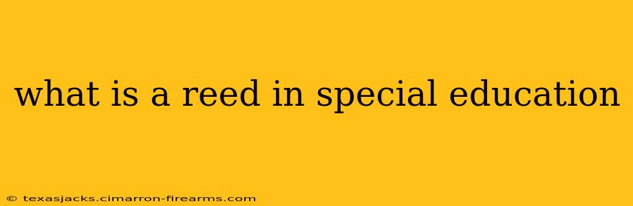 what is a reed in special education