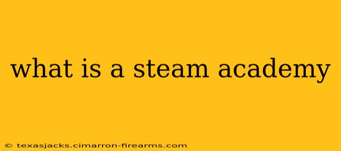 what is a steam academy