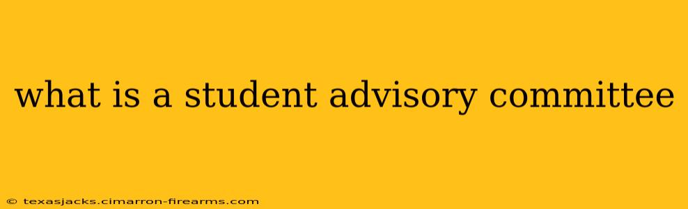 what is a student advisory committee