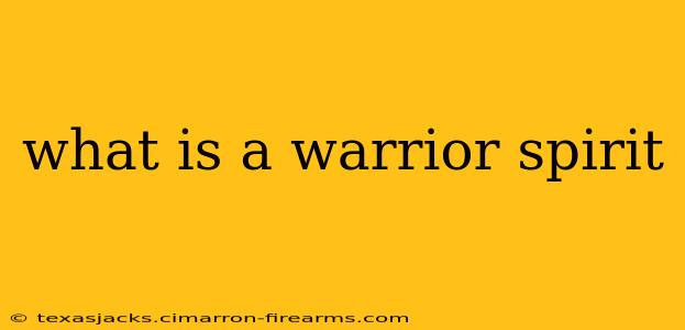 what is a warrior spirit