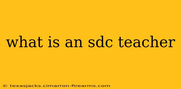 what is an sdc teacher