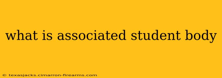 what is associated student body