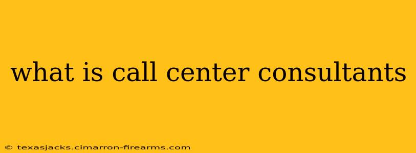 what is call center consultants