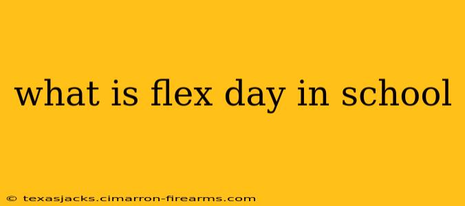 what is flex day in school