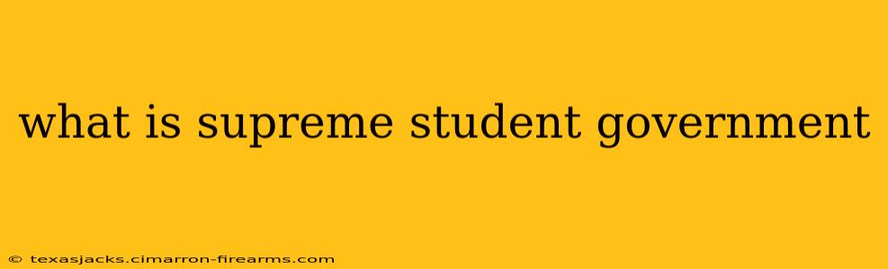 what is supreme student government