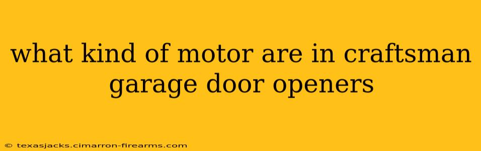 what kind of motor are in craftsman garage door openers