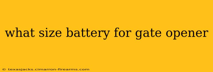 what size battery for gate opener