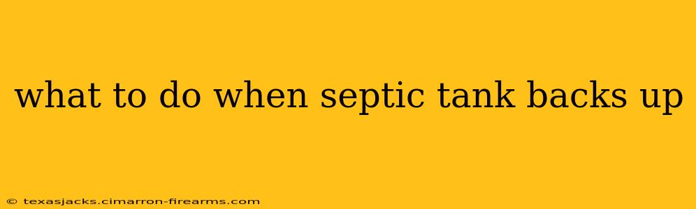 what to do when septic tank backs up