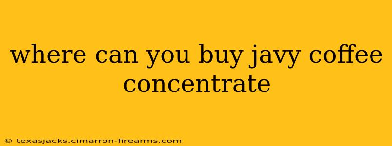 where can you buy javy coffee concentrate