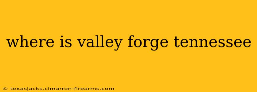 where is valley forge tennessee