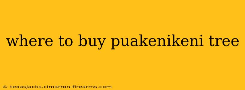 where to buy puakenikeni tree