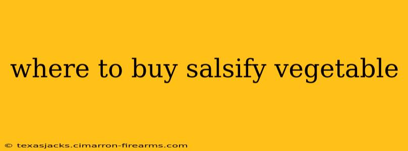 where to buy salsify vegetable