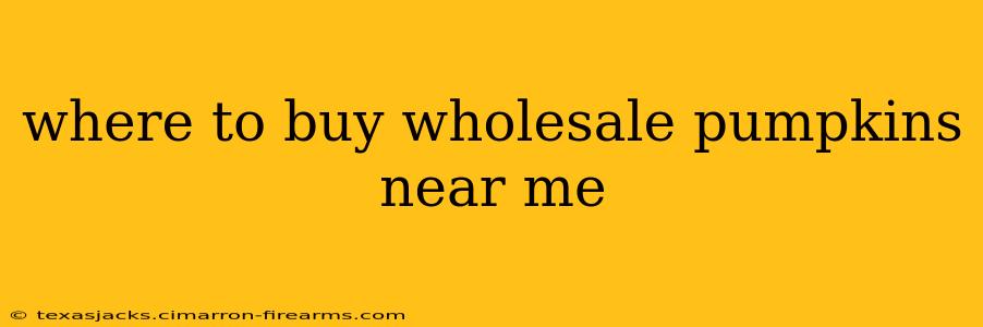 where to buy wholesale pumpkins near me