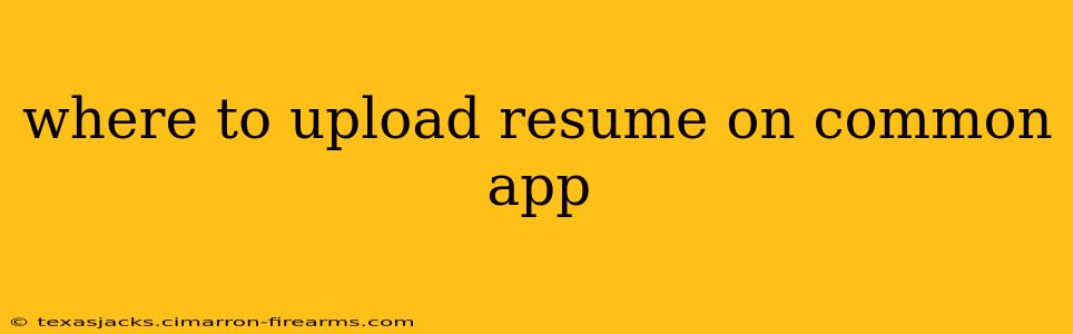 where to upload resume on common app