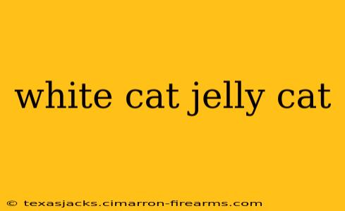 white cat jelly cat