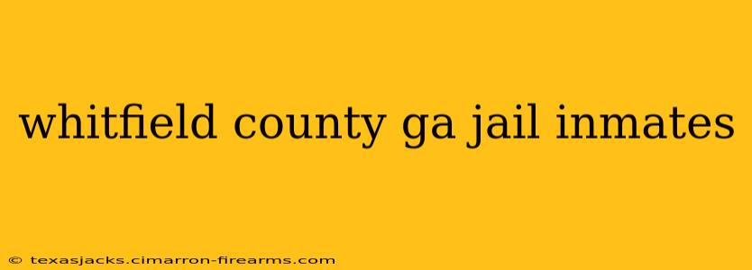 whitfield county ga jail inmates