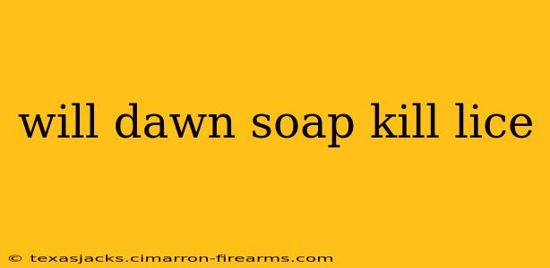 will dawn soap kill lice