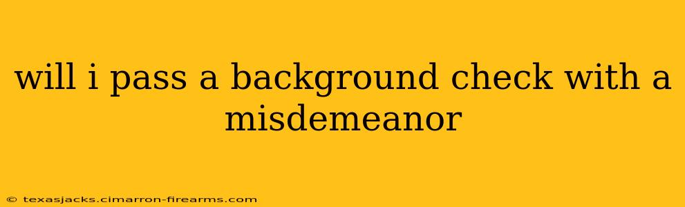 will i pass a background check with a misdemeanor