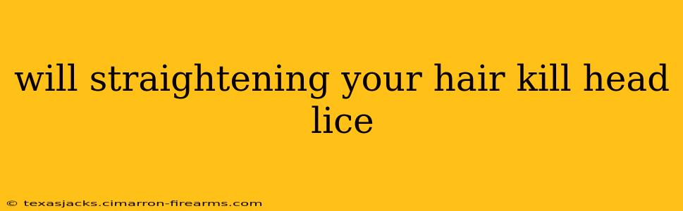 will straightening your hair kill head lice