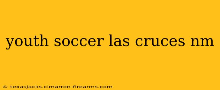 youth soccer las cruces nm